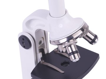 The compound microscope is the most cost-effective type of microscope.