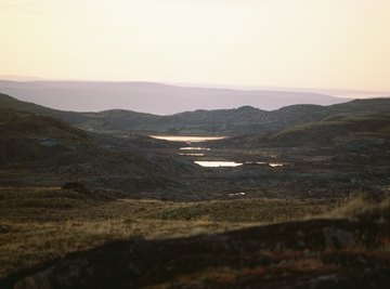 The Arctic tundra, the most common tundra on earth, during the brief growing season