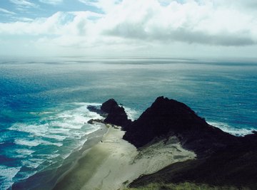 As an island nation with a developed economy, New Zealand faces some unique environmental challenges.