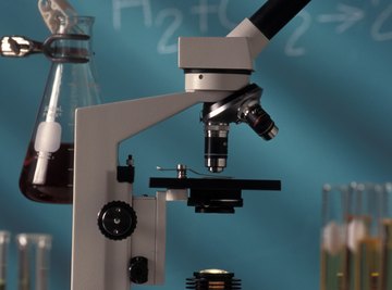 A scientific microscope can be used to measure objects that are approximately one micron in size.