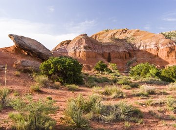 Sandstone formations in Palo Duro Canyon state park in Texas