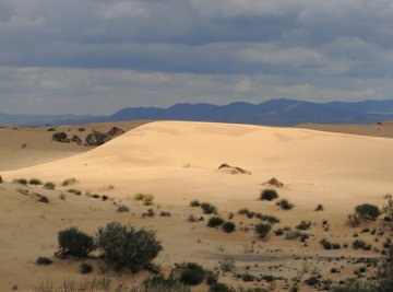 Some parts of the Sahara receive no rainfall for decades.