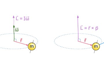 angular momentum equation