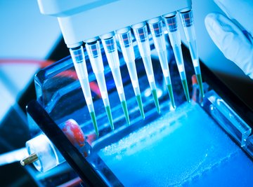 What Causes Smearing in Electrophoresis