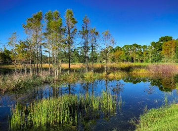 Watershed Science Project Ideas