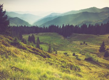 Differences Between North- and South-Facing Slopes