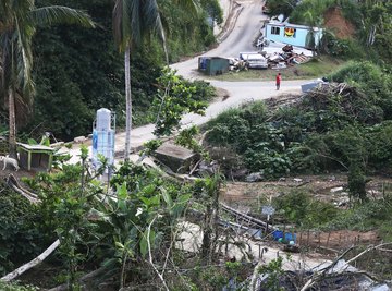 Hurricane Maria's Aftermath: Ecological Disaster Continues