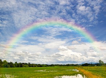 What are the colors in the rainbow?