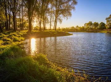 New research suggests that life didn't start in the ocean – it started in ponds.