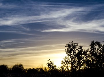 The Climate of the Edwards Plateau