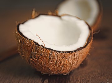 What Are the Adaptations of a Coconut Seed