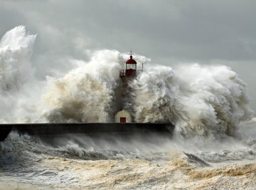 Effects of a Tsunami on the Marine Ecosystem