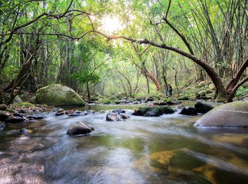 Ancient Water Purification Methods