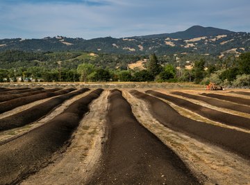 California's Garlock fault is creeping.