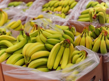 Banana Science Projects | Sciencing