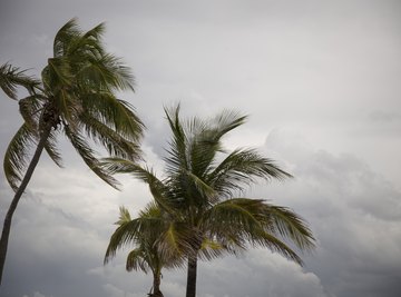 What Are the Characteristics of a Tropical Storm?