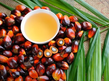 Critics say palm oil comes at an intolerable cost.