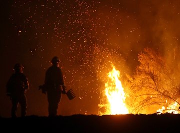 Busting the President’s Biggest Myths About the California Wildfires