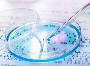 List of the Applications of Electrophoresis