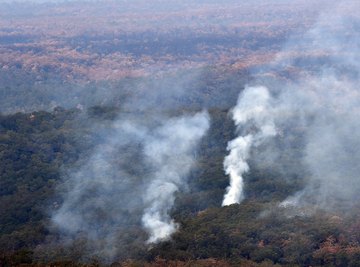 There's a scientific reason for the strength of the wildfires in Australia.