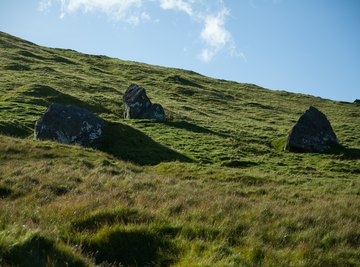 Temperature and Precipitation in the Temperate Grasslands