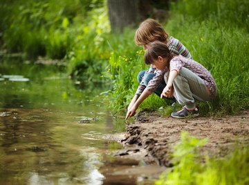 Lentic & Lotic Ecosystems