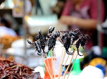 Edible insects are packed with antioxidants.