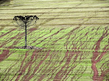 About Soil Erosion