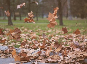 What Elements Make Up the Air We Breathe