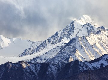 Characteristics of a Mountain Ecosystem