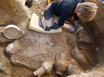 Paleontologists have discovered several prehistorical artifacts, including a dinosaur egg containing an embryo, in North Dakota.