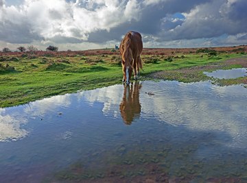 Types of Water Bodies