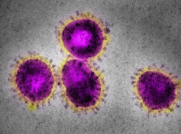 The coronavirus outbreak poses a serious threat.