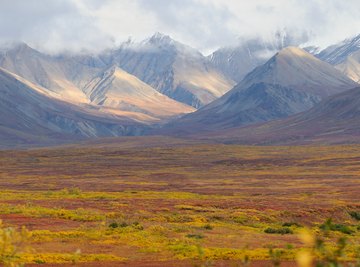 The Climate in the Tundra