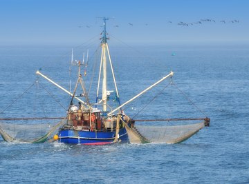 Objectives of Fish Farming