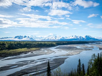 Biotic & Abiotic Factors in the Tundra