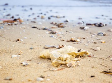 Garbage is just one of the things lurking in the water during a beach closure.