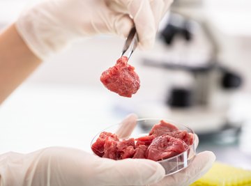 Could lab-grown meat be the future of sustainable eating?