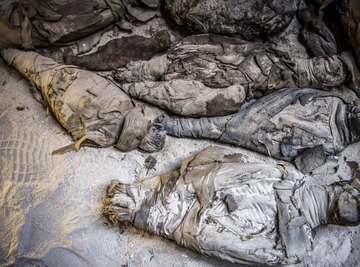 Scientists have uncovered an ancient tomb full of mummies.