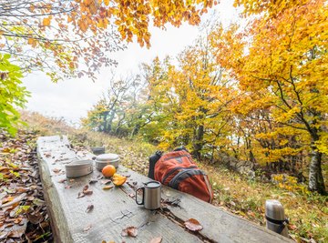 Outdoor Activities Done in the Temperate Deciduous Forest