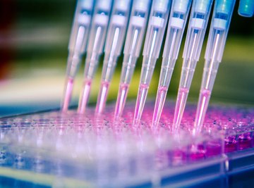 How Enzyme Activity Changes as Enzyme Concentration Decreases