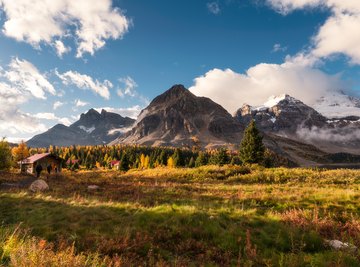 What Are the Causes of the 4 Seasons on Earth?