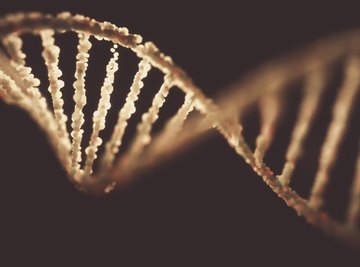 Characteristics of Nucleic Acids