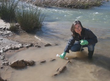 Aquatic plants provide vital support to a wide range of organisms in waterways.