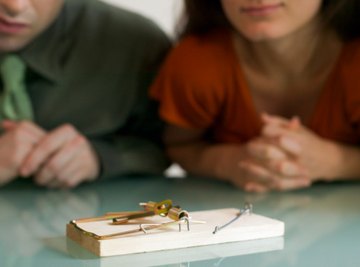 Mouse traps are a common item used in Rube Goldberg projects.