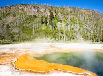 Hot springs and geysers are sources of hydrothermal deposits.