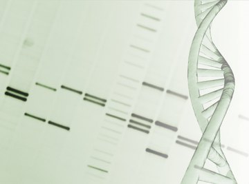 Karyotypes show if there are any chromosomal problems.