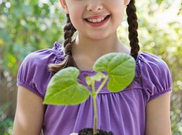 Fifth-graders investigate the difference sunlight and water make to plant growth