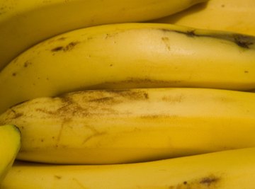 Bananas are an excellent source for inexpensive and fun science fair projects.