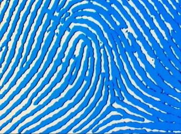 Kids enjoy learning about fingerprints and how to collect and compare them.